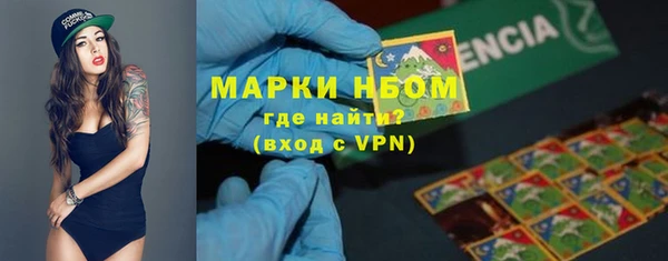 спиды Ессентукская