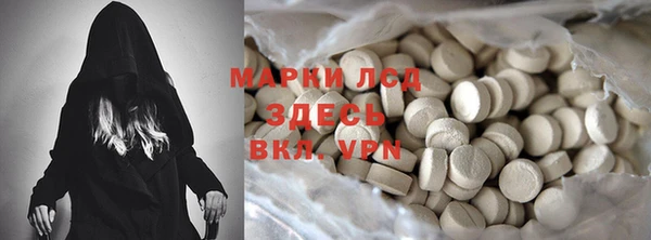 гидра Каменка