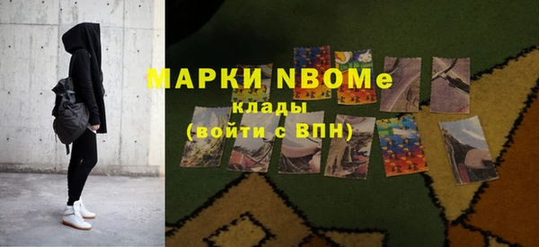 шишки Нестеровская