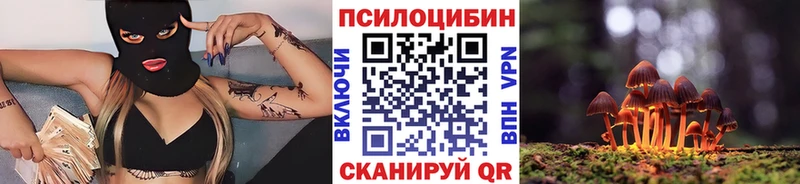 Псилоцибиновые грибы Cubensis  Реж 