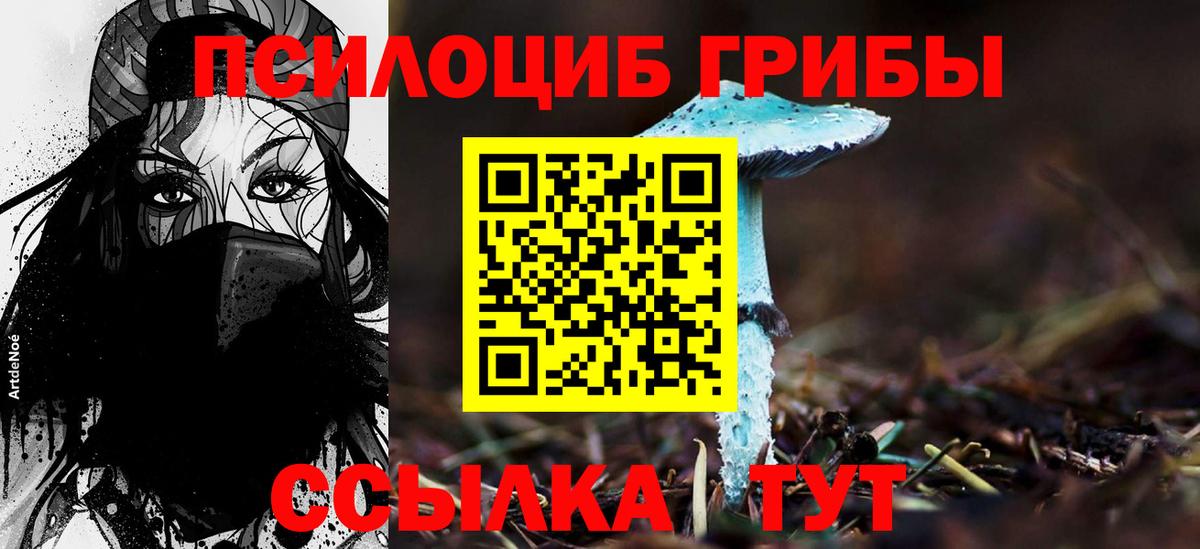 Галлюциногенные грибы Psilocybe  Вход с VPN  Реж 