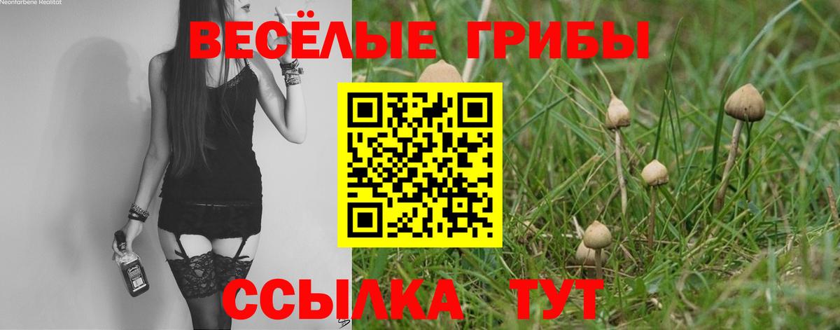 Галлюциногенные грибы Cubensis Реж